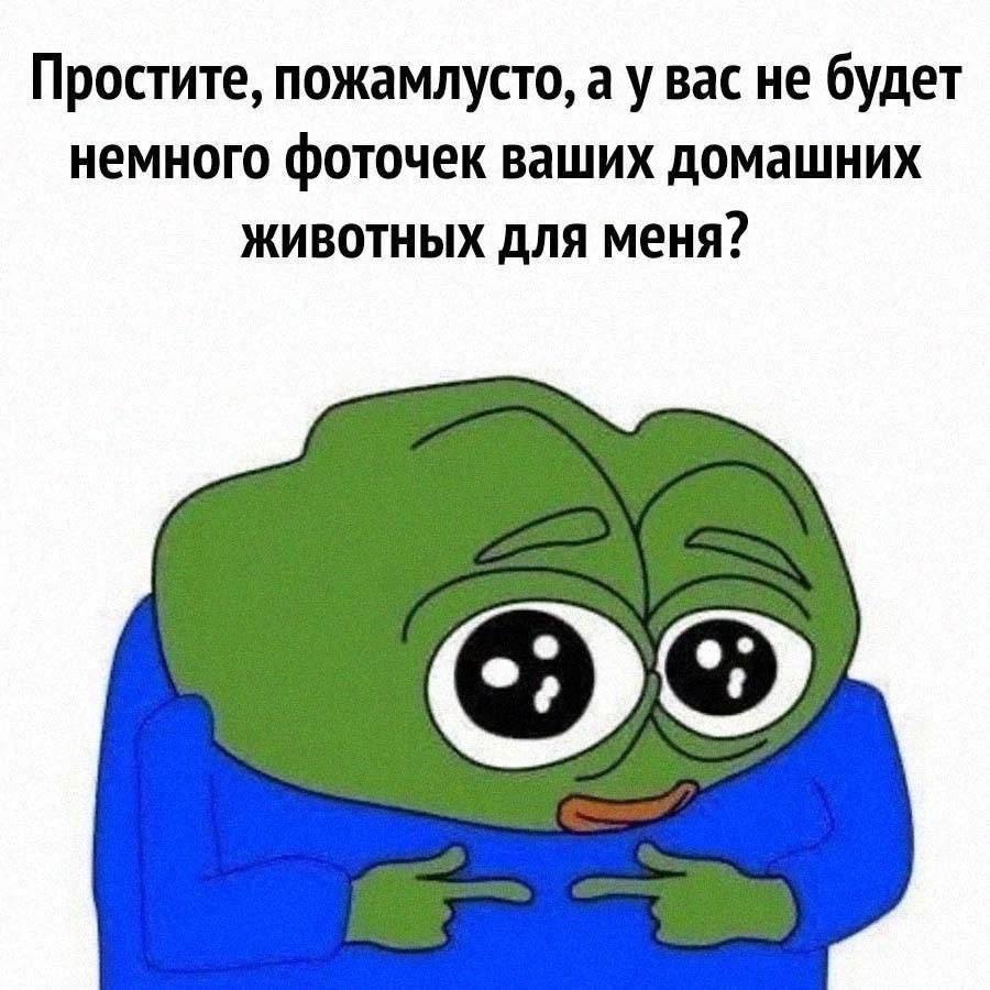 Простите, пожамлусто, а у вас не будет немного фоточек ваших домашних животных для меня?
