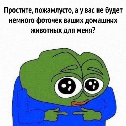 Простите, пожамлусто, а у вас не будет немного фоточек ваших домашних животных для меня?