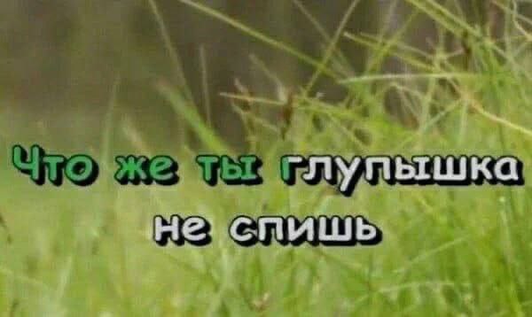 -лупышка спишь an