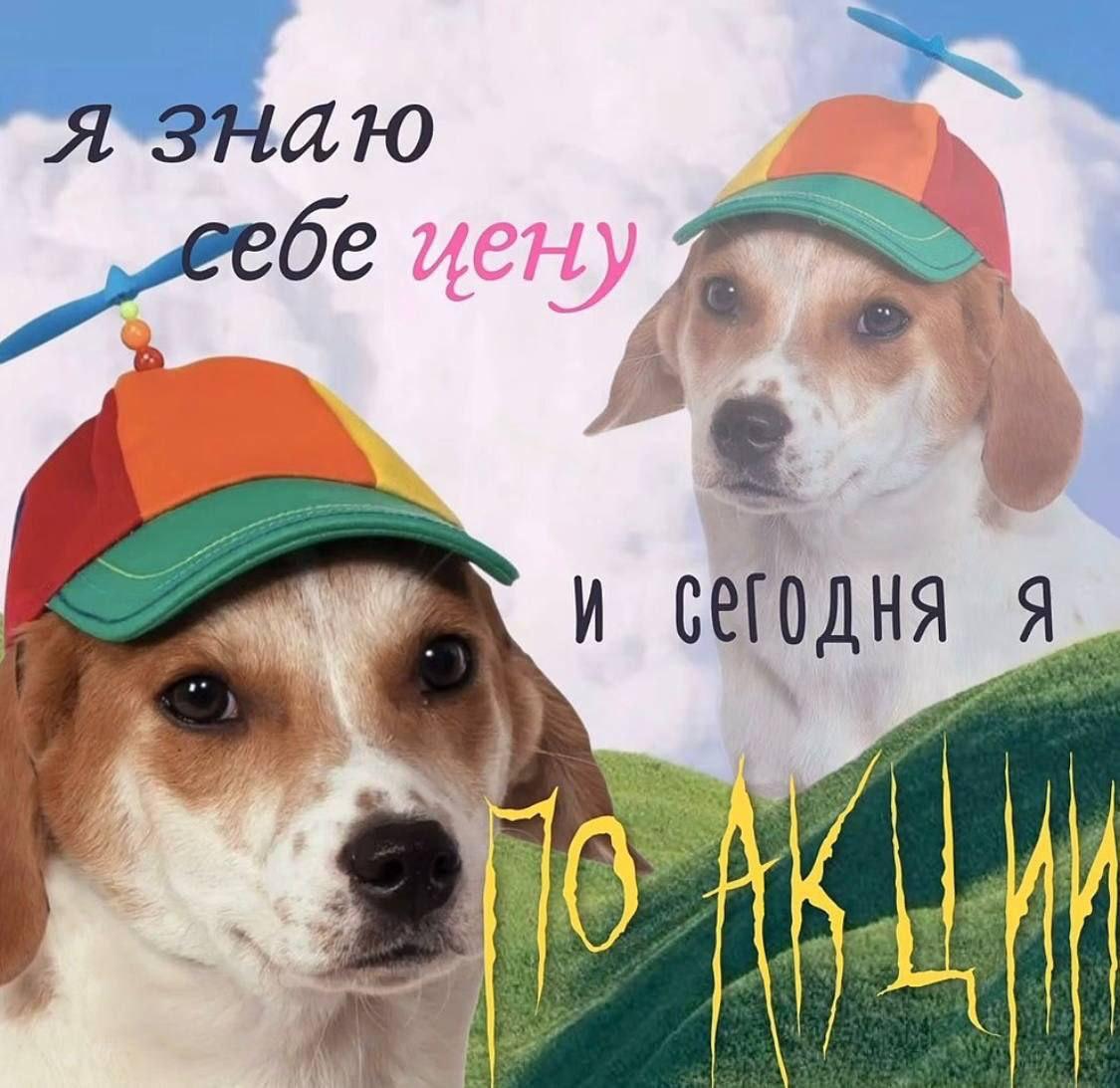 цену
