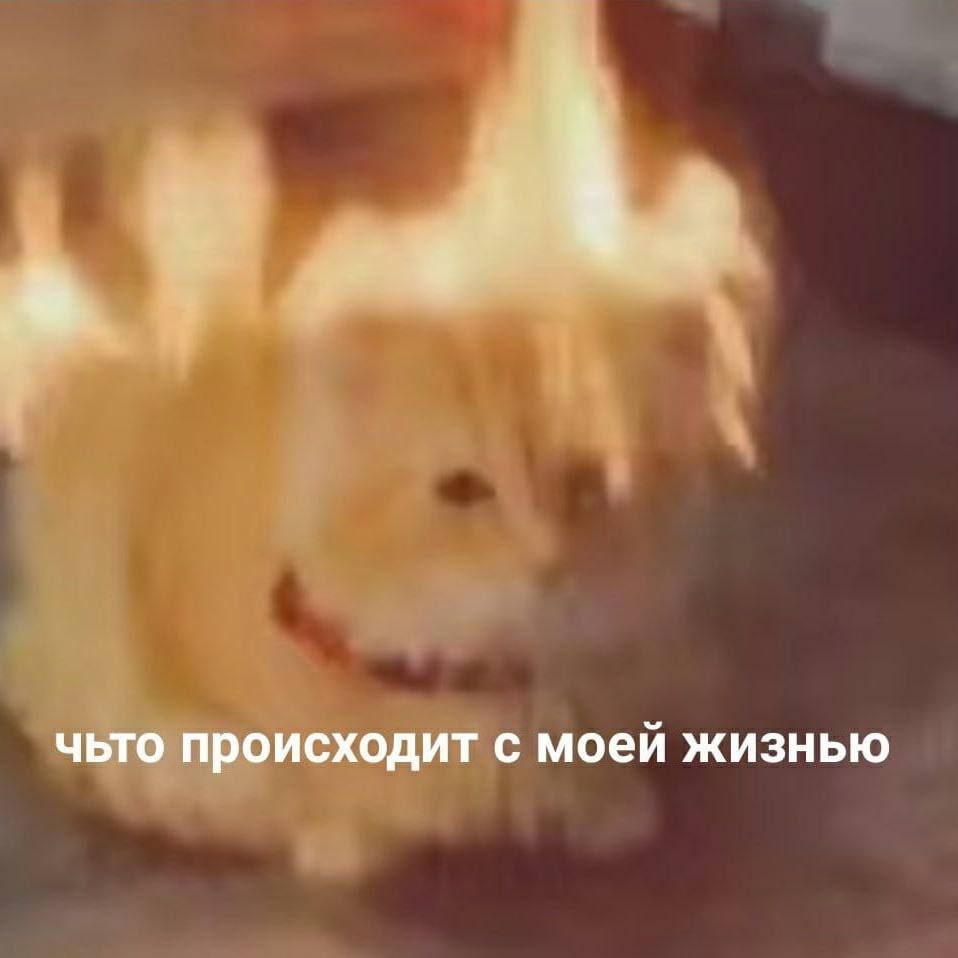 чьто происходит с моей жизнью