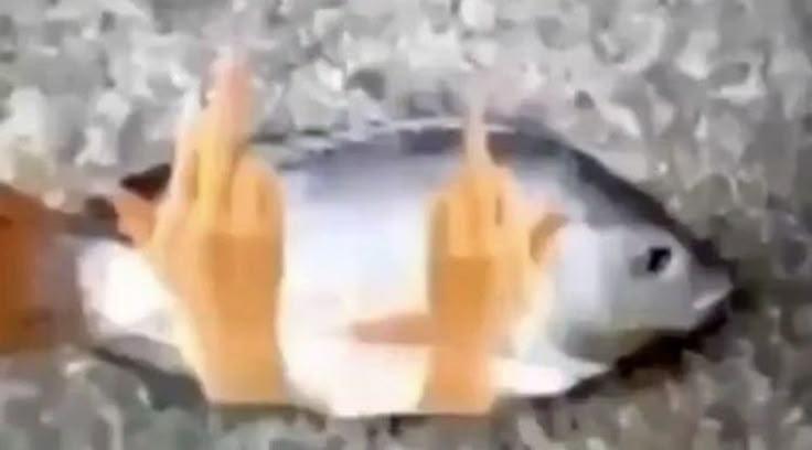 честно? я смеялась