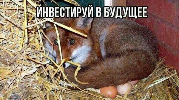 ВЕСТИРУЙ В БУДУЩЕЕ A 5 a