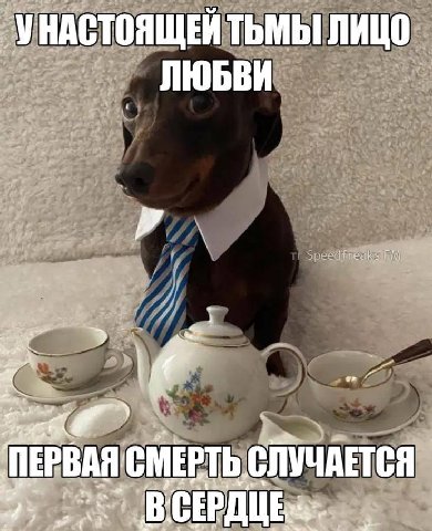 УНАСТОЯЩЕЙ ТЬМЫ ЛИЦО ЛЮБВИ СЛУЧАЕТСЯ 4; a 2