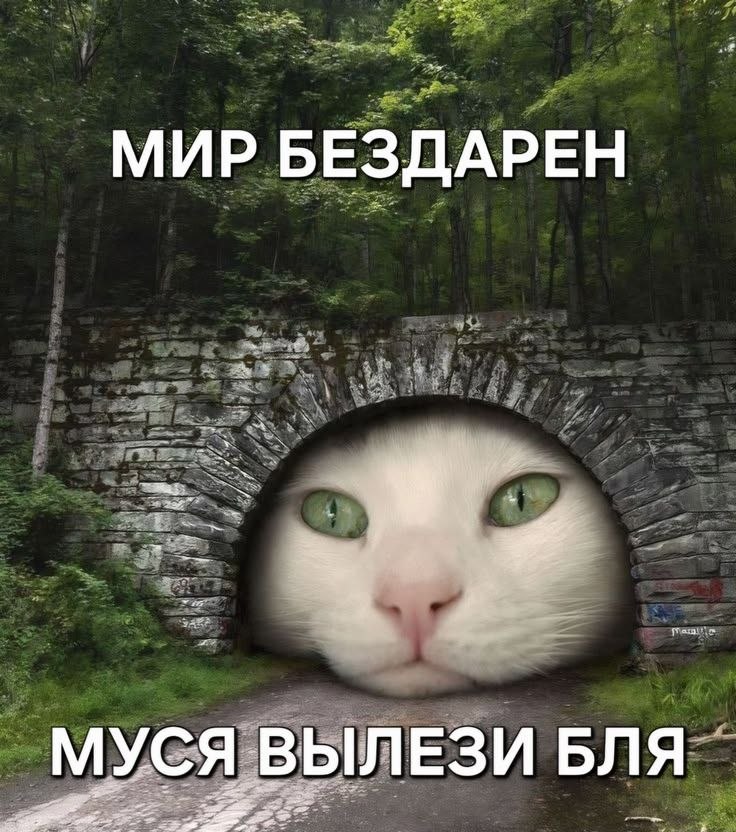 МИР БЕЗДАРЕН МУСЯ ВЫЛЕЗИ БЛЯ