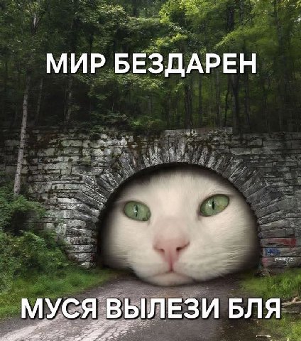 МИР БЕЗДАРЕН МУСЯ ВЫЛЕЗИ БЛЯ