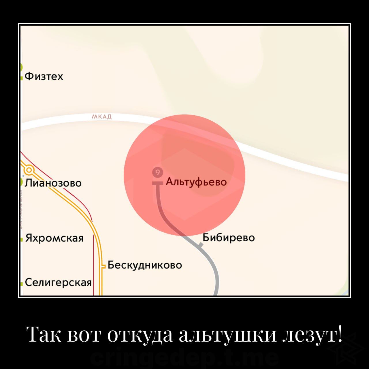 Физтех Лианозово Альтуфьево Яхромская Бибирево Бескудниково Селигерская Так вот откуда альтушки лезут!