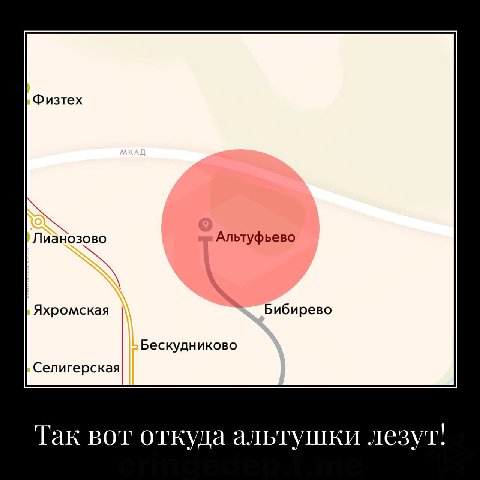 Физтех Лианозово Альтуфьево Яхромская Бибирево Бескудниково Селигерская Так вот откуда альтушки лезут!