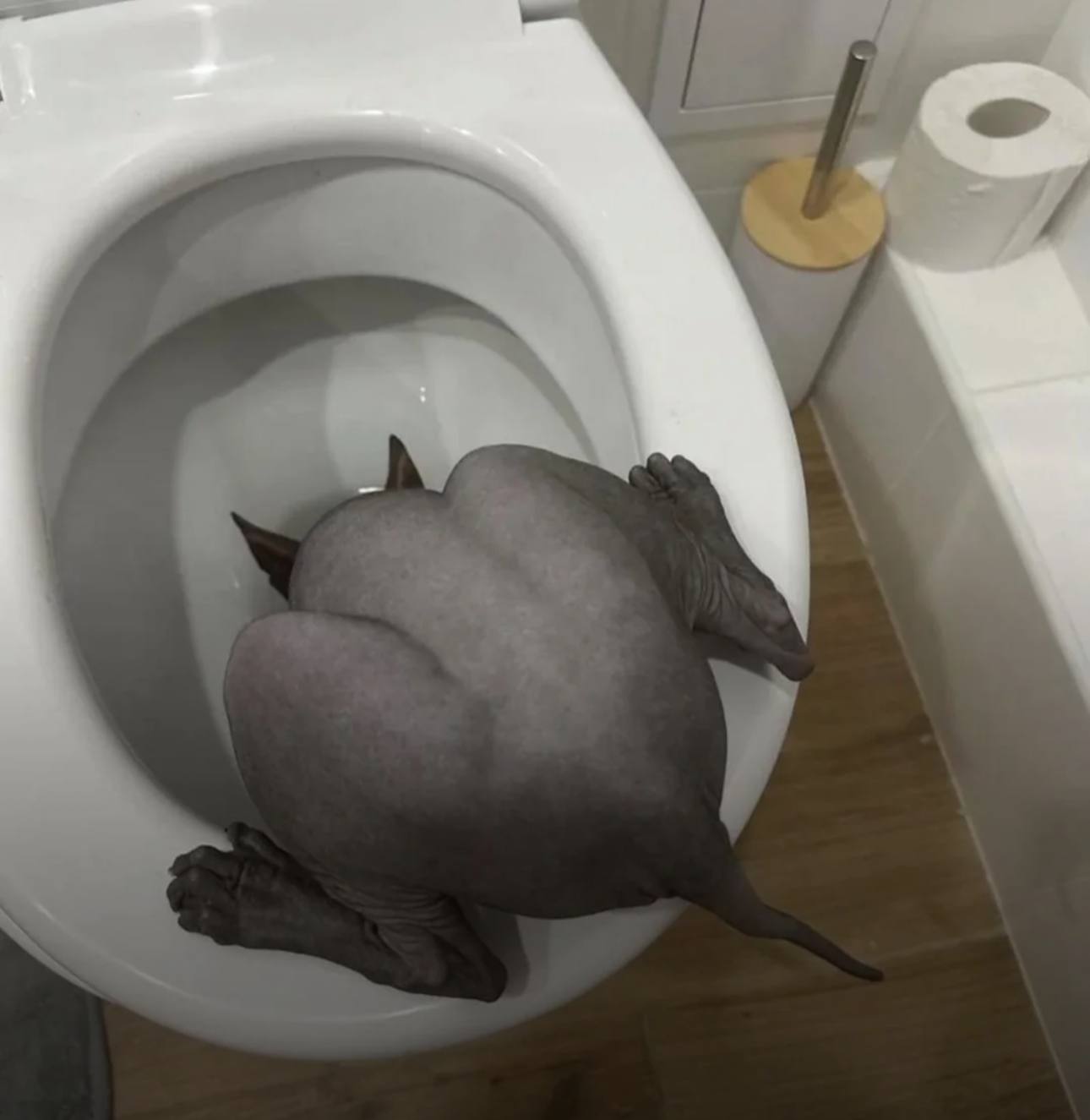 у