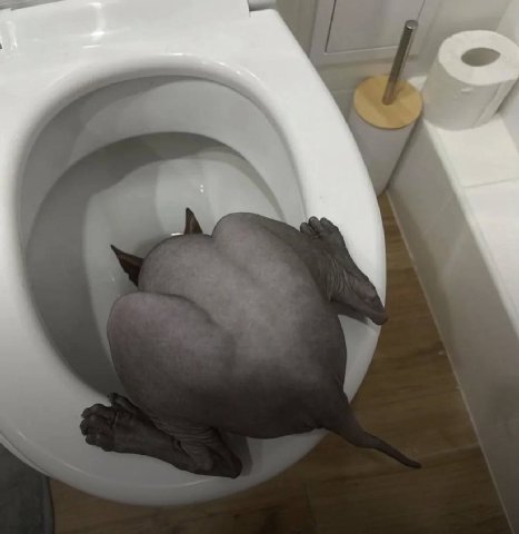 у