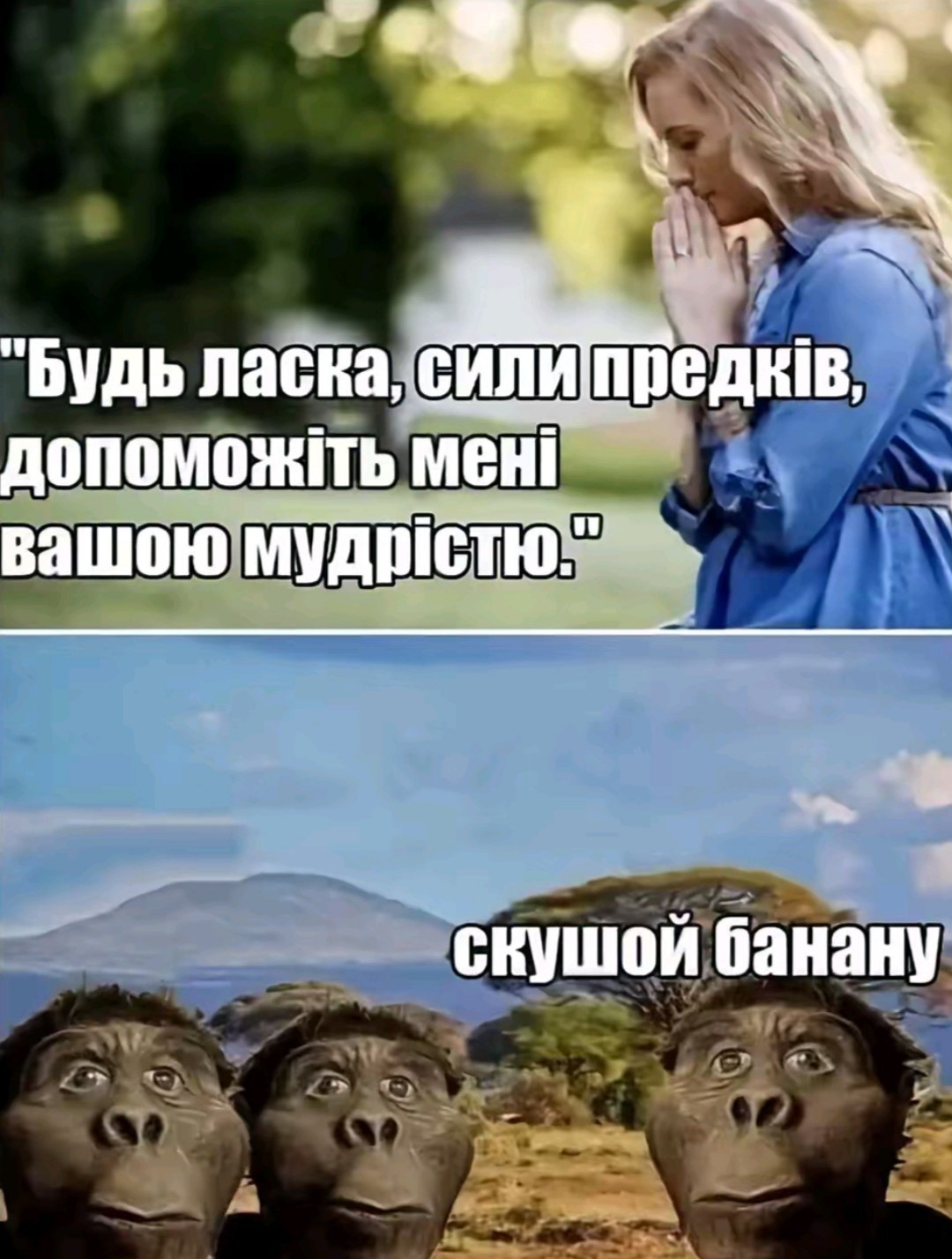 "Будь ласка, с вашою мудристю." скушой банану