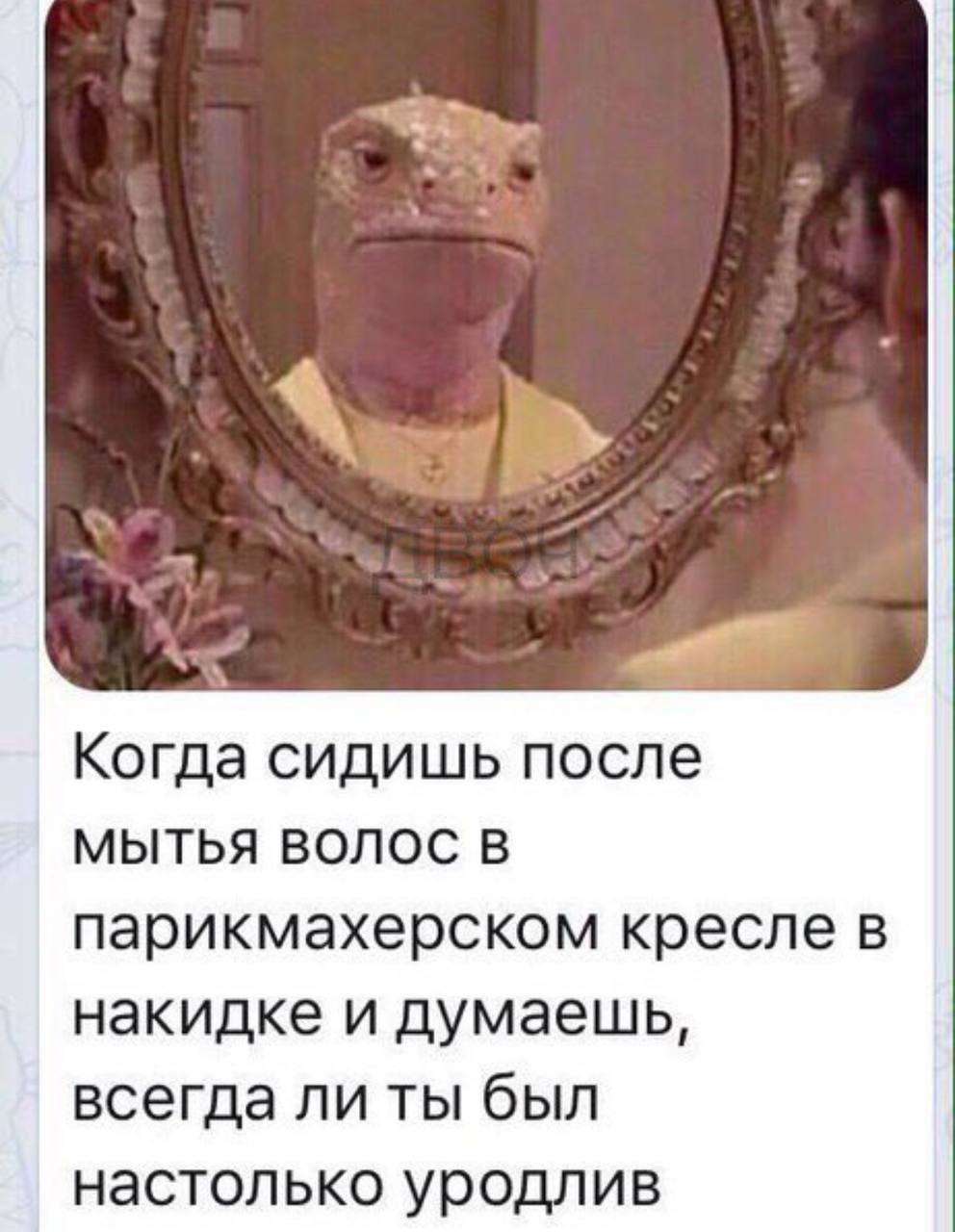 Когда сидишь после МЫТЬЯ ВОЛОС В парикмахерском кресле в накидке и думаешь, всегда ли ты был настолько уродлив