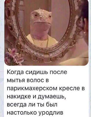Когда сидишь после МЫТЬЯ ВОЛОС В парикмахерском кресле в накидке и думаешь, всегда ли ты был настолько уродлив
