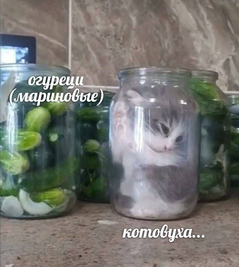 огуреци