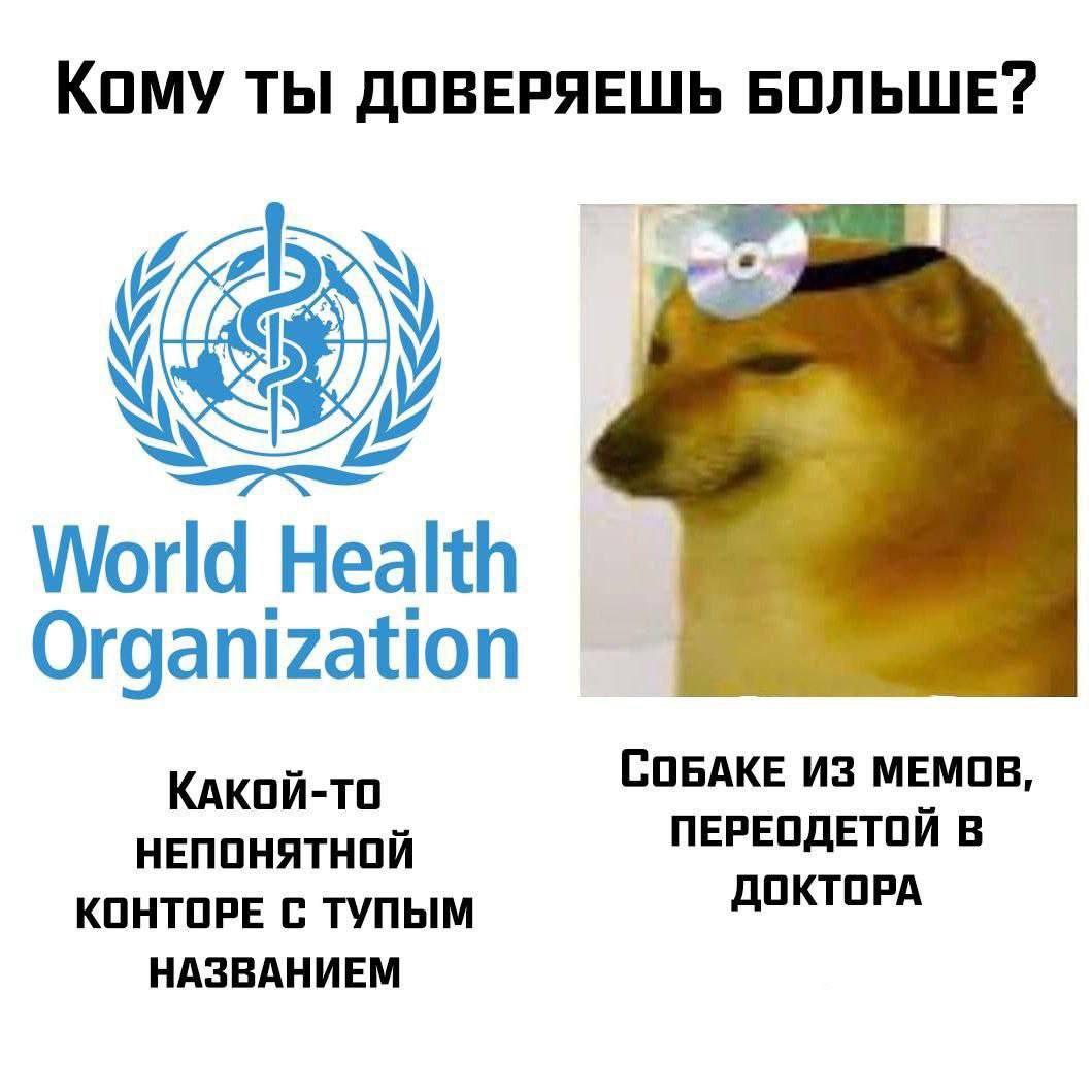 КОМУ ТЫ ДОВЕРЯЕШЬ БОЛЬШЕ? World Health Organization КАКОЙ-ТО СОБАКЕ ИЗ МЕМОВ, НЕПОНЯТНОЙ ПЕРЕОДЕТОЙ В КОНТОРЕ С ТУПЫМ ДОКТОРА НАЗВАНИЕМ