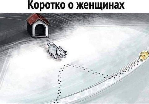 Коротко о женщинах
