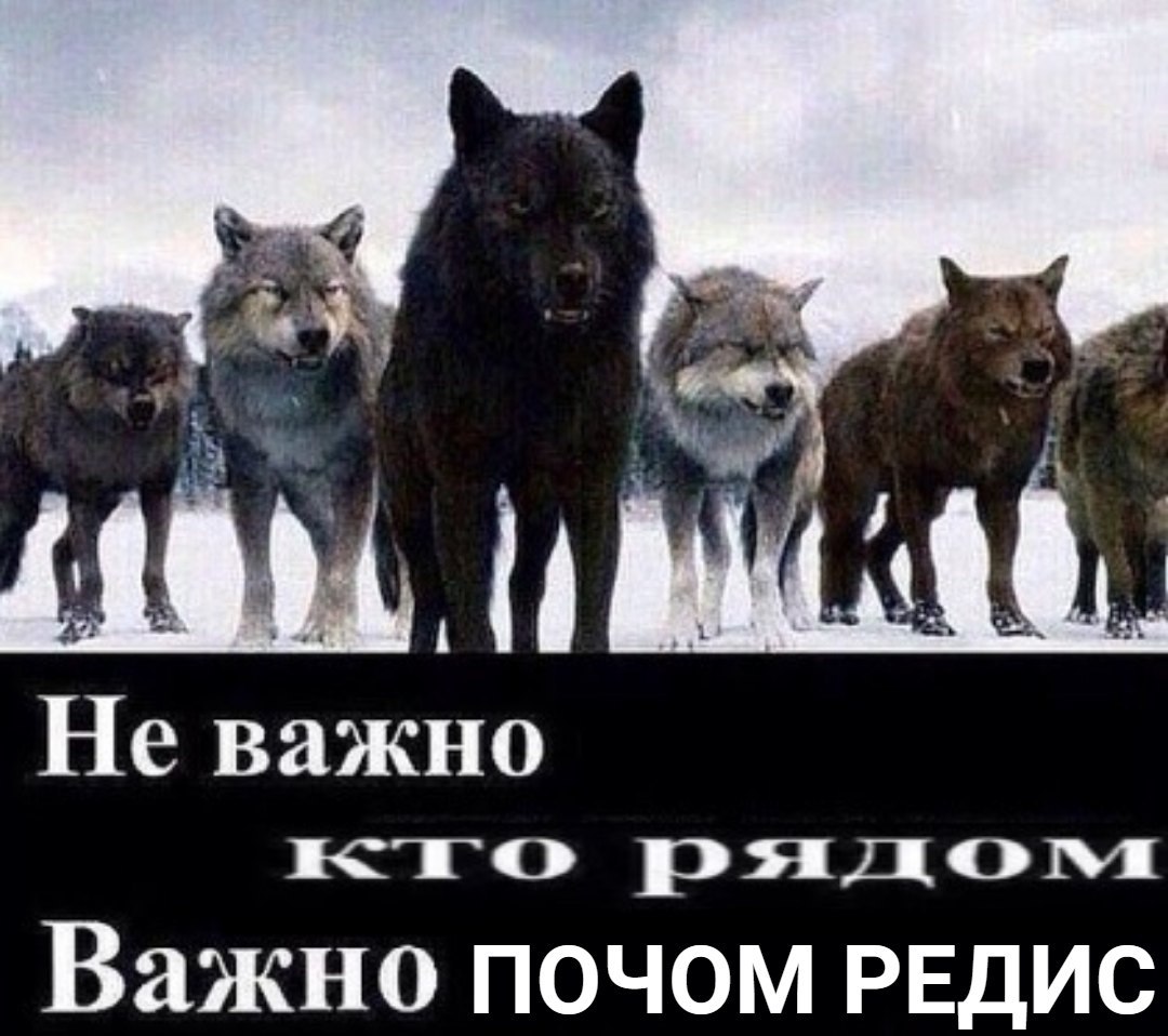 TYG a Не важно рядом Важно NOYOM РЕДИС