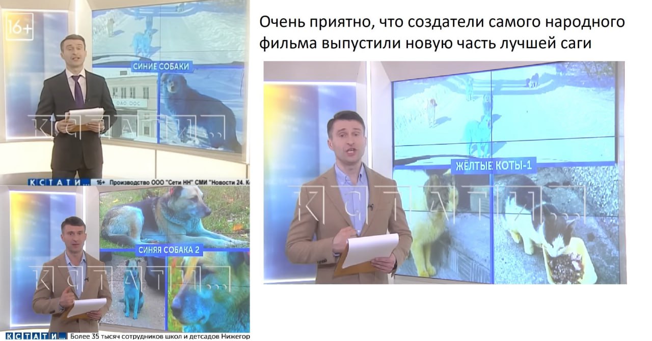 Очень приятно, что создатели самого народного фильма выпустили новую часть лучшей саги СИНИЕСОБАКИ 4 00 ЖЕЛТЫЕ КСТАТИ СМИ "Новости 24. COBAKA 2 i Более 35 тысяч сотрудников школ и детсадов Нижегор