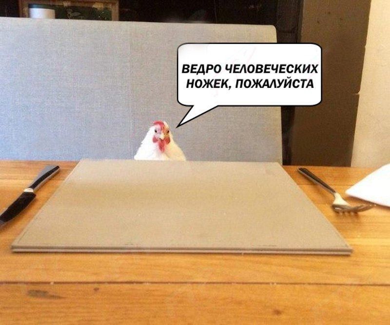 ВЕДРО ЧЕЛОВЕЧЕСКИХ НОЖЕК, ПОЖАЛУЙСТА