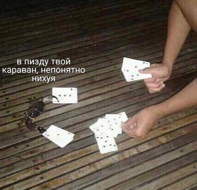 в пизду твой караван, непонятно нихуя