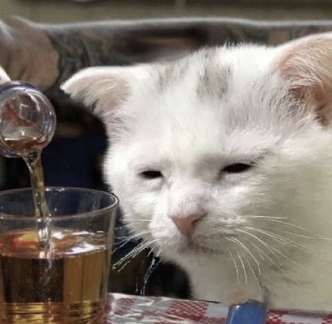 ща ща