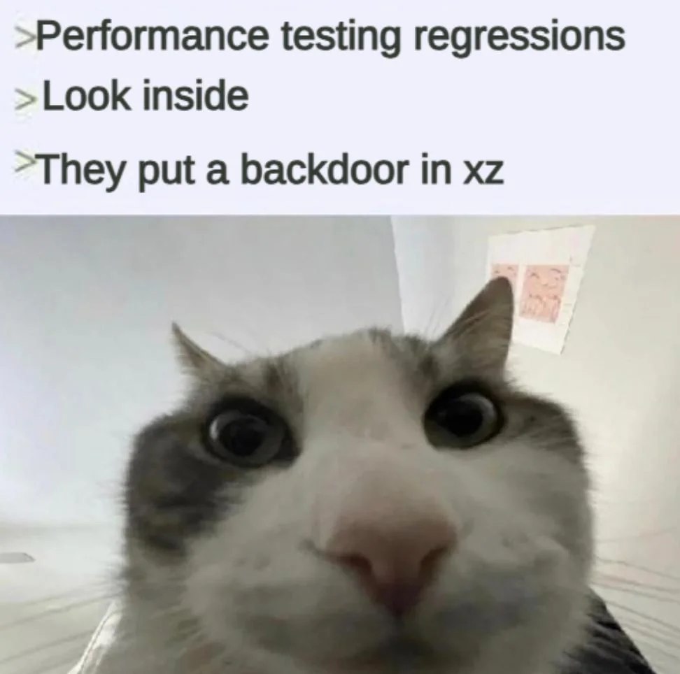 >Performance testing regressions inside put a backdoor in