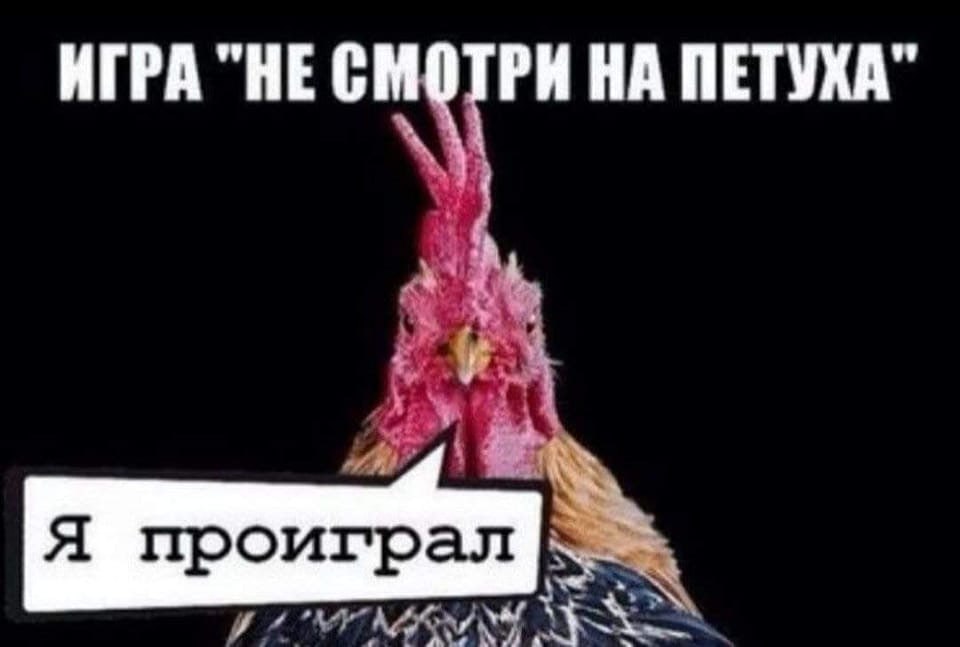 ИГРА "НЕСМОТРИ НА ПЕТУХА" Я проиграл