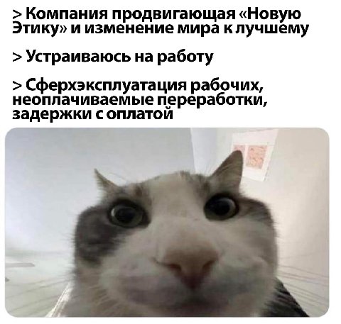Компания продвигающая «Новую Этику» и изменение мира клучшему Устраиваюсь на работу Сферхэксплуатация рабочих, неоплачиваемые переработки, задержки с оплатой
