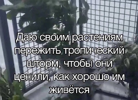 Даю своим пережить тропическии ценили, как живется