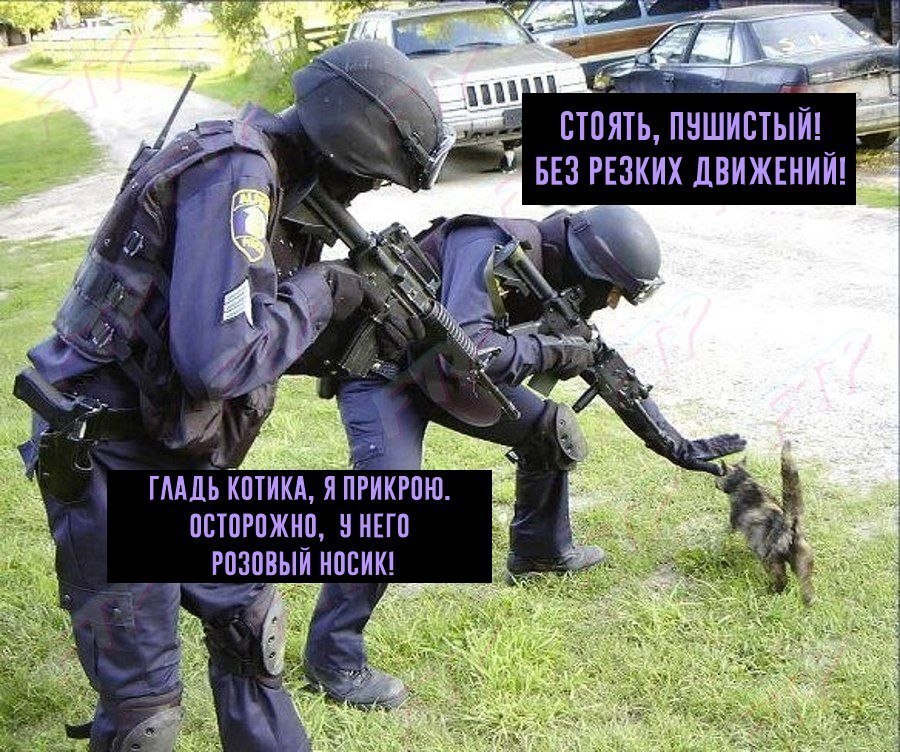 2” у у 7 1 4 БЕЗ РЕЗКИХ ДВИЖЕНИЙ! 4 a 5% я ГЛАДЬ КОТИКА, Я ПРИКРОЮ. ОСТОРОЖНО, УНЕГО 2 РОЗОВЫЙ НОСИК! 7