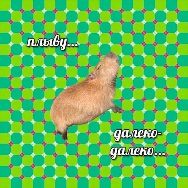 далеко далеко ускакал мой конь далеко далеко не догнать его