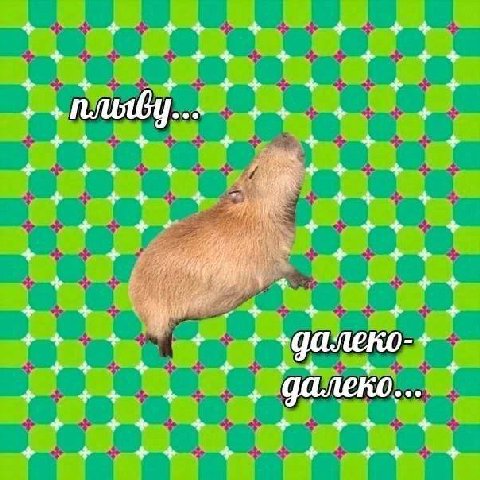 далеко далеко ускакал мой конь далеко далеко не догнать его