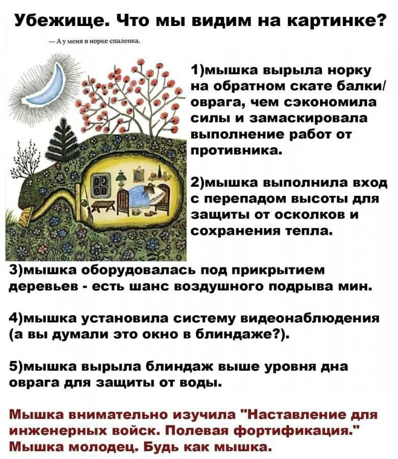 Убежище. Что мы видим на картинке? Ауменя в норке спаленка. 1)мышка вырыла норку 2 на обратном скате балки/ оврага, чем сэкономила 5 силы и замаскировала выполнение работ от противника. \2)мышка выпол