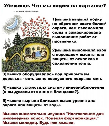 Убежище. Что мы видим на картинке? Ауменя в норке спаленка. 1)мышка вырыла норку 2 на обратном скате балки/ оврага, чем сэкономила 5 силы и замаскировала выполнение работ от противника. \2)мышка выпол