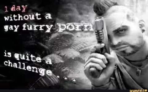 а gay furry por а