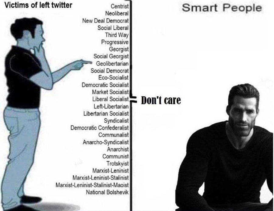 Victims of left twitter Centrist Smart People Neoliberal New Deal Democrat Social Liberal Third Way Progressive Georgist Social Georgist Geolibertarian Social Democrat Eco-Socialist Democratic Sociali