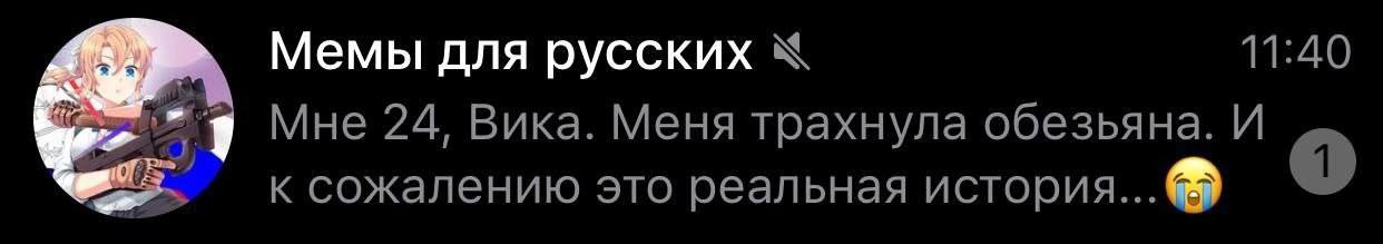 11:40 Memb! для русских к Мне 24, Вика. Меня трахнула обезьяна. И к сожалению это реальная история...