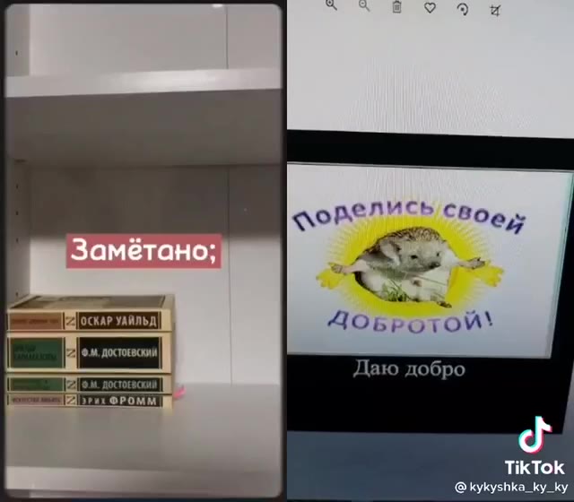 Сильвупле блять