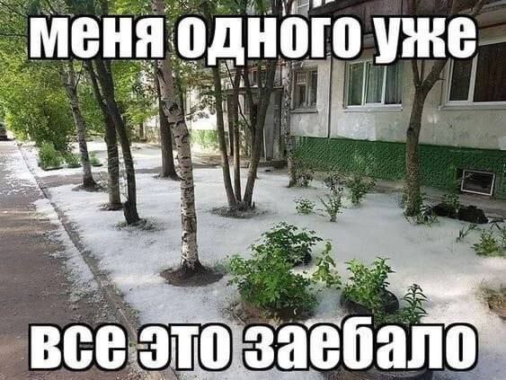 НО ого уже thy 4 ебало BCe ЭТО 3