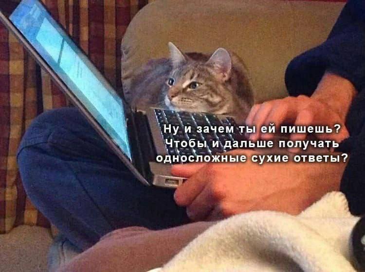 Ну и зачем ты пишешь? Чтобы и дальше получать односложные сухие ответы? A