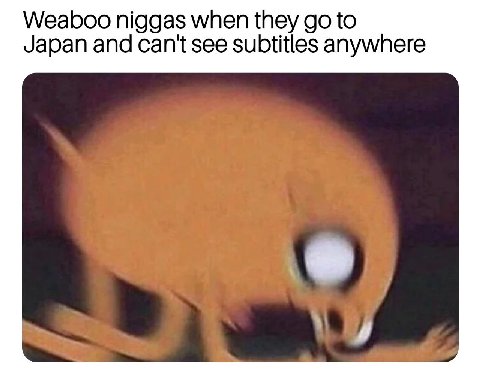 Weaboo niggas when they to Japan and can't see subtitles anywhere