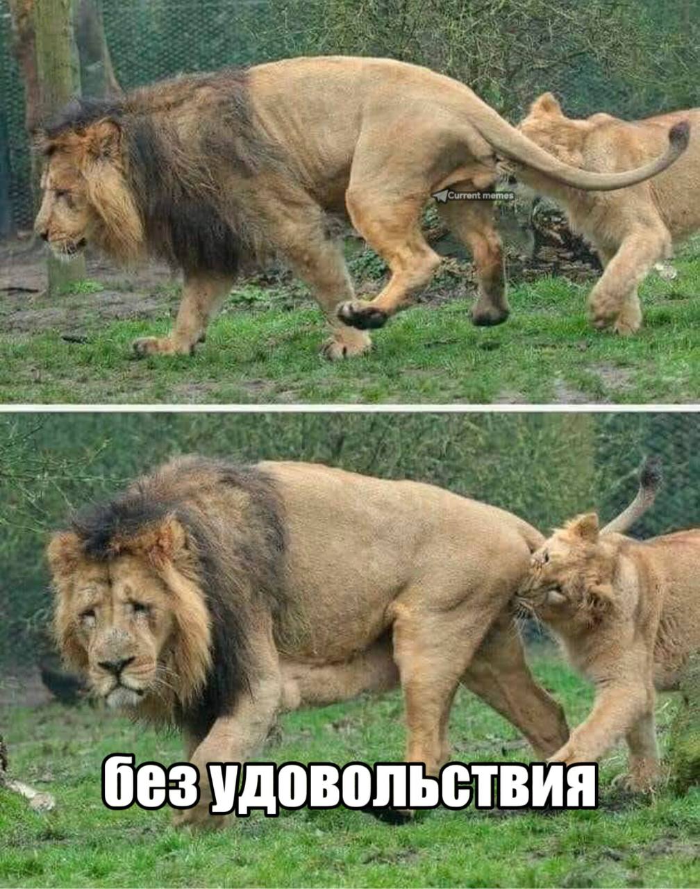 без удовольствия