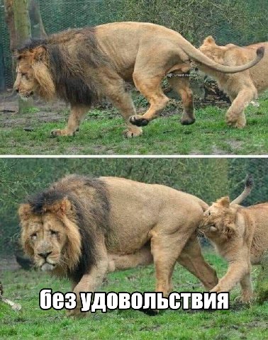 без удовольствия