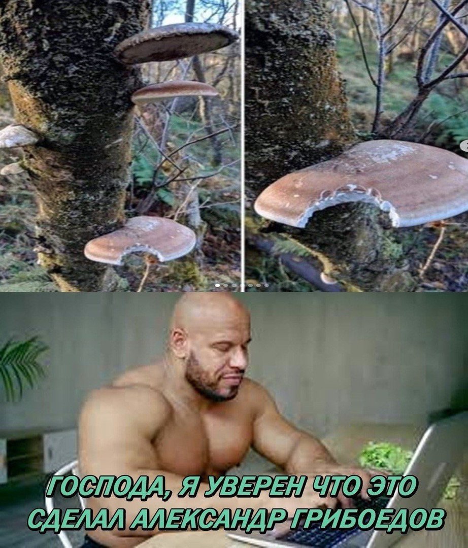 7 у