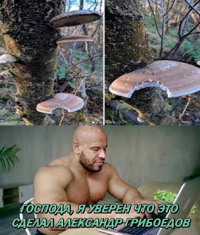 7 у