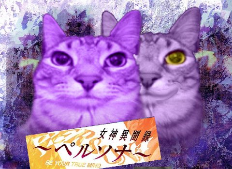 у 2 «4 6 я: вы у у 5$ 4 i a 7.4 а 4 4 о