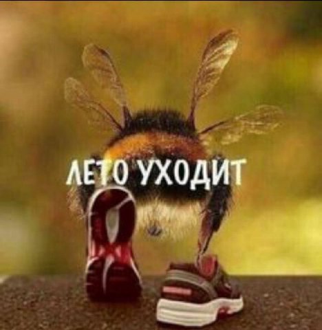 ЛЕТО УХОДИТ