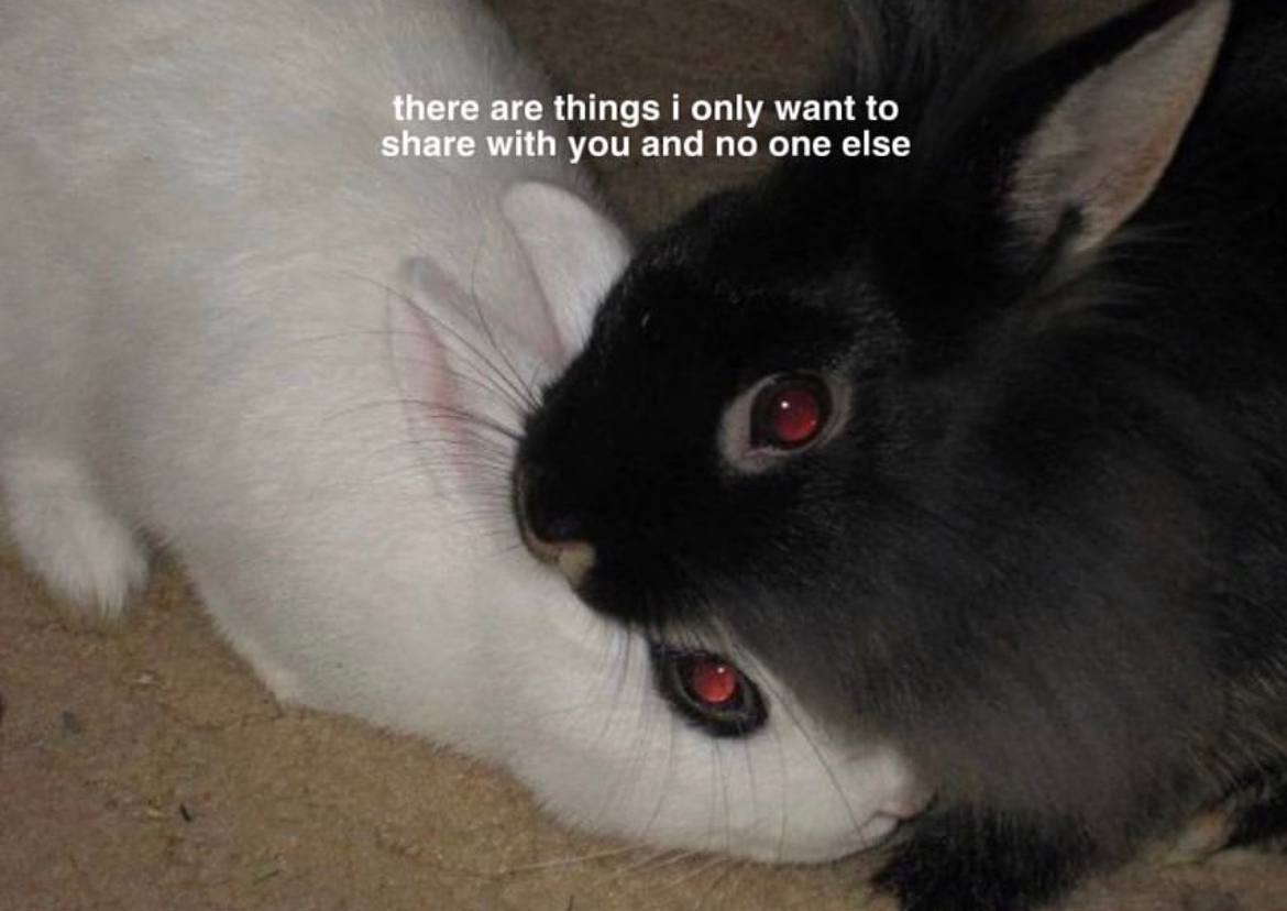 there are things i only want to share with you and no one else