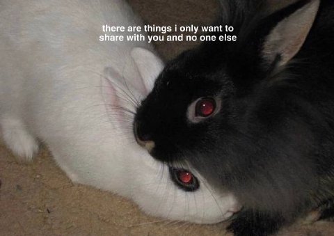 there are things i only want to share with you and no one else