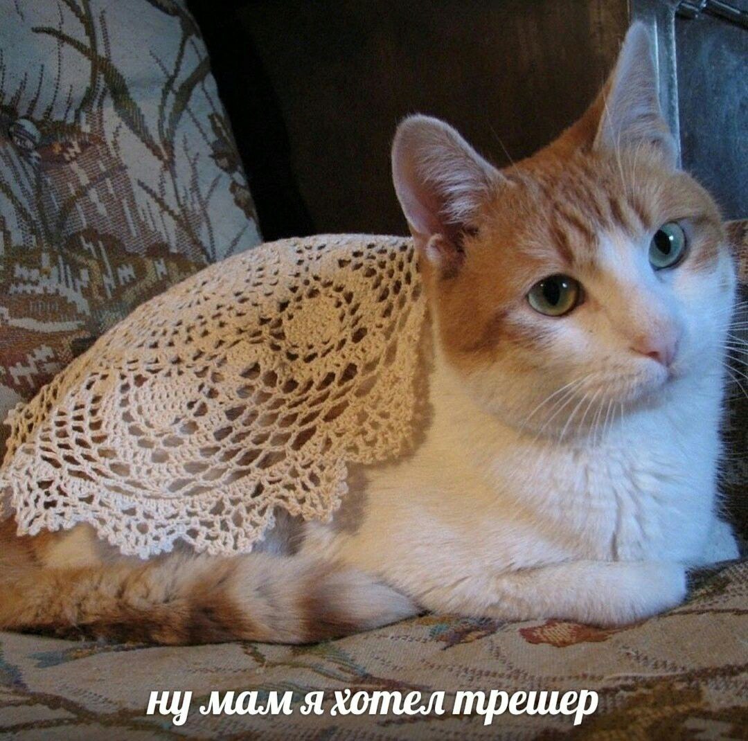 ну мам я хотел трешер